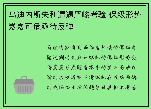 乌迪内斯失利遭遇严峻考验 保级形势岌岌可危亟待反弹