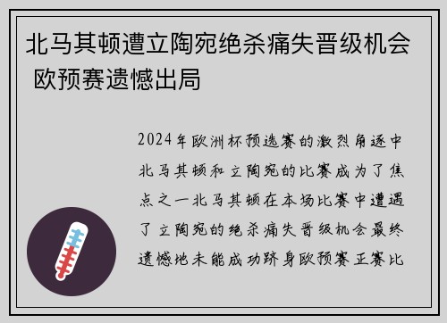 北马其顿遭立陶宛绝杀痛失晋级机会 欧预赛遗憾出局