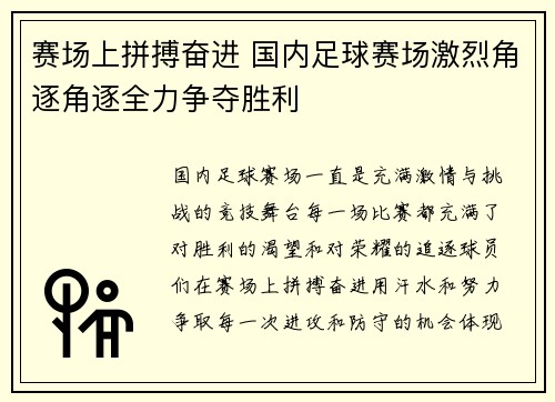 赛场上拼搏奋进 国内足球赛场激烈角逐角逐全力争夺胜利